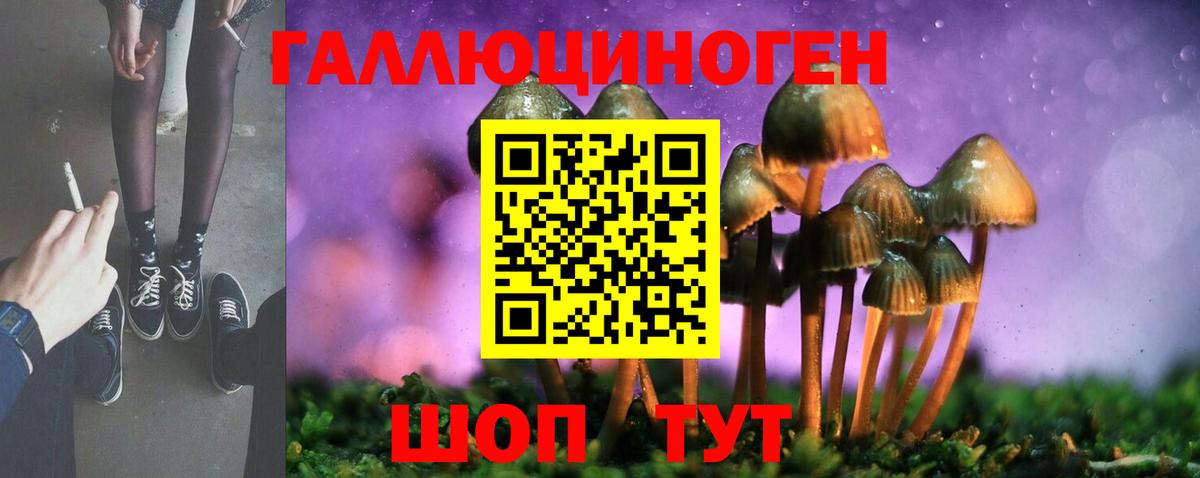 Псилоцибиновые грибы Psilocybe Серов